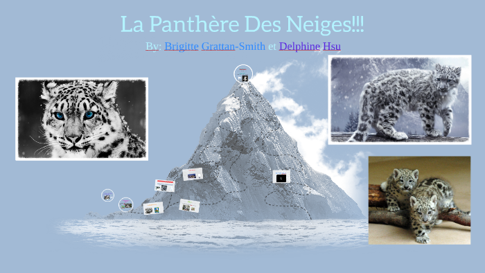 Ou Voir Le Film La Panthere Des Neiges La Panthere Des Neiges!!! by Mia Hsu on Prezi Next