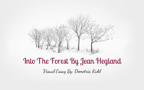 Essay about the woods picture