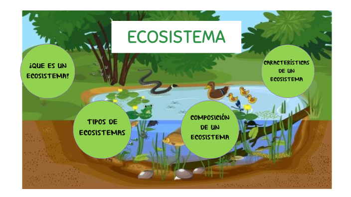 ECOSISTEMA by Yasmin Basurto Arévalo on Prezi