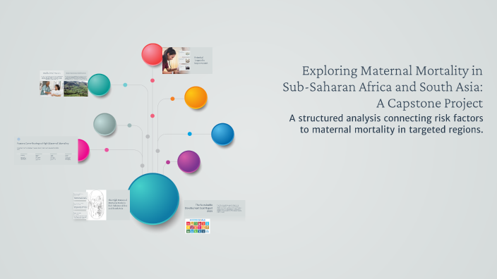 Exploring Maternal Mortality in Sub-Saharan Africa and South Asia: A ...