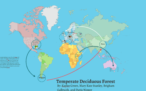 Climate of Temperate Deciduous Forest by kaylee green on Prezi