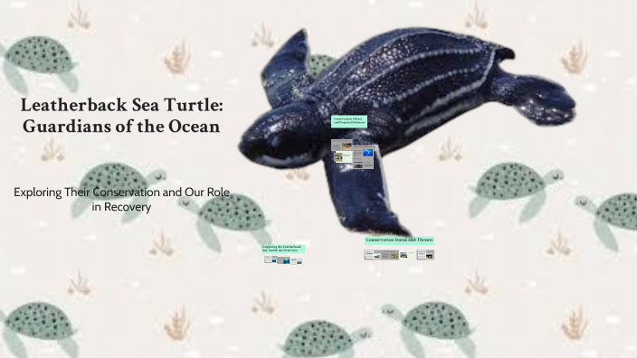Leatherback Sea Turtle: Guardians of the Ocean by Kenadie Gray on Prezi