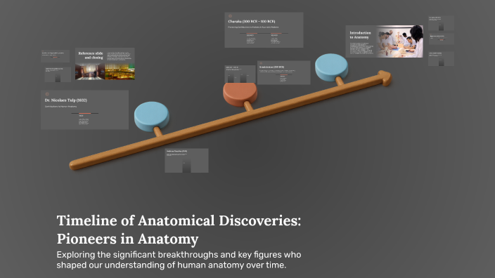Timeline of Anatomical Discoveries: Pioneers in Anatomy by Bryanna ...