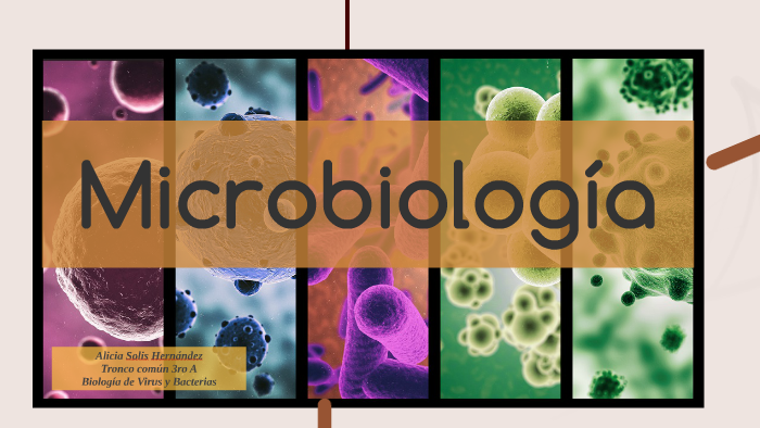 Microbiología by alice solis