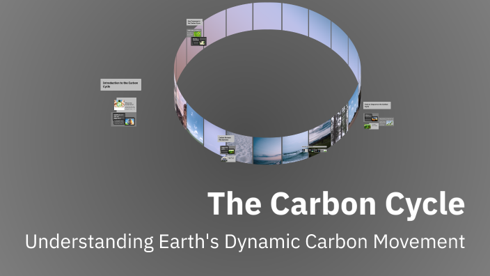 The Carbon Cycle by jake odey on Prezi