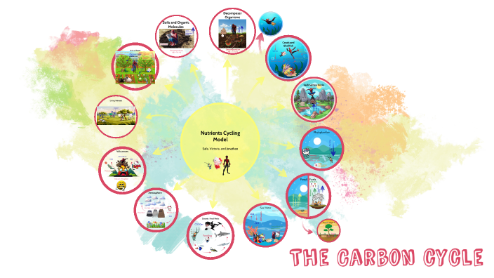 Nutrient Carbon Cycle Model by Victoria Garcia Garcia on Prezi