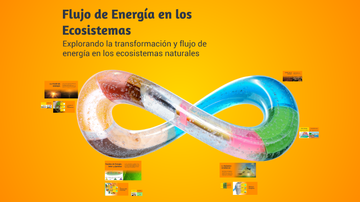 Flujo de Energía en los Ecosistemas by DANIEL ALDANA LOPEZ on Prezi