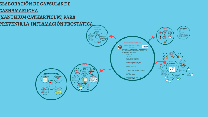 prostata patologia slideshare prostata patologia slideshare