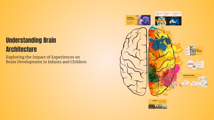 Understanding Brain Architecture by Alicia Bassindale on Prezi