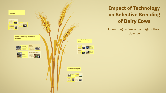 Reyna Pratcher Impact of Technology on Selective Breeding of Dairy Cows by Reyna ...