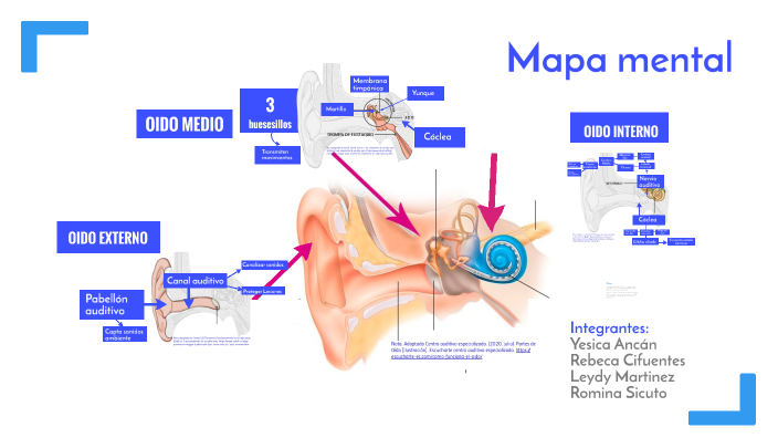 Mapa mental by Erika Martinez on Prezi
