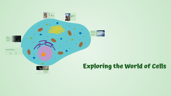 Exploring the World of Cells by maryam aljaafar on Prezi