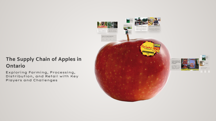 The Supply Chain of Apples in Ontario by Aru on Prezi