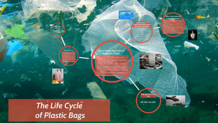 The Life Cycle of Plastic Bags by zsofi markus