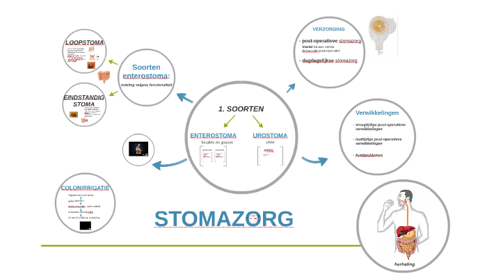 STOMAZORG by sarah schildermans