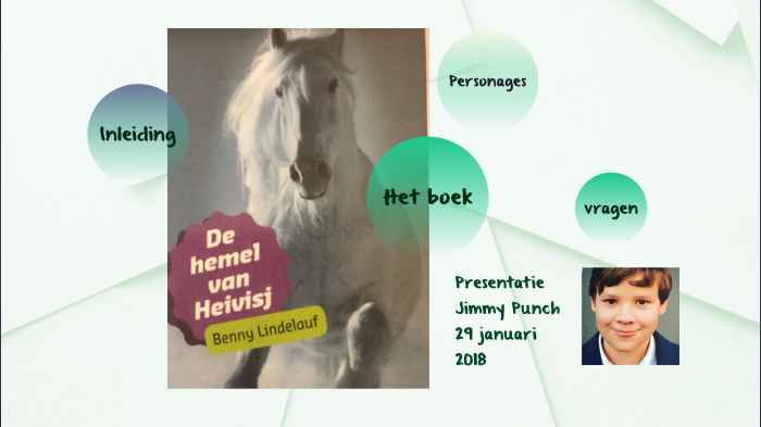 De Hemel Van Heivisj Samenvatting