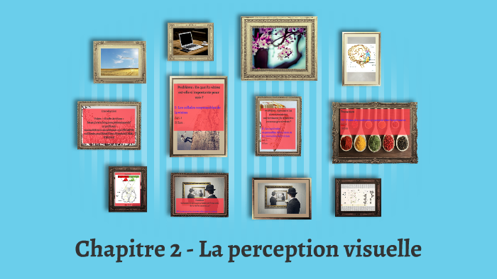 Chapitre 2 - La Perception Visuelle By Cecile Mallet On Prezi