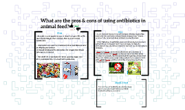 What Are The Pros Amp Cons Of Using Antibiotics In Animal Feed By Hartej Girn