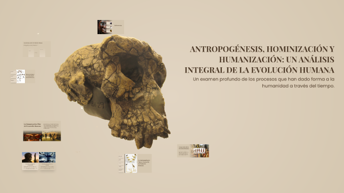 ANTROPOGÉNESIS, HOMINIZACIÓN Y HUMANIZACIÓN: UN ANÁLISIS INTEGRAL DE LA ...