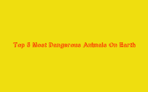 Top 5 most dangerous animals on earth by Marissa Holowchak