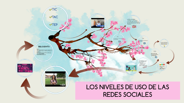 LOS NIVELES DE USO DE LAS REDES SOCIALES by naiara Daiara on Prezi