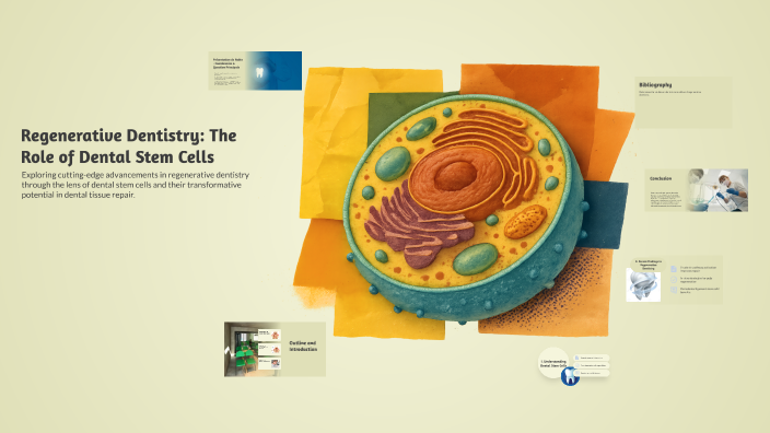 Regenerative Dentistry: The Role of Dental Stem Cells by Robin Jallet ...