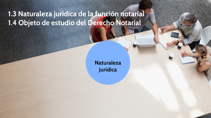 Naturaleza Jurídica by javier caudana on Prezi