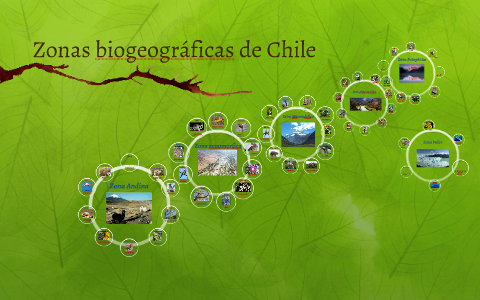 Zonas biogeográficas de Chile by Diego Nova on Prezi