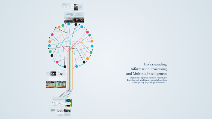 Understanding Information Processing and Multiple Intelligences by ...