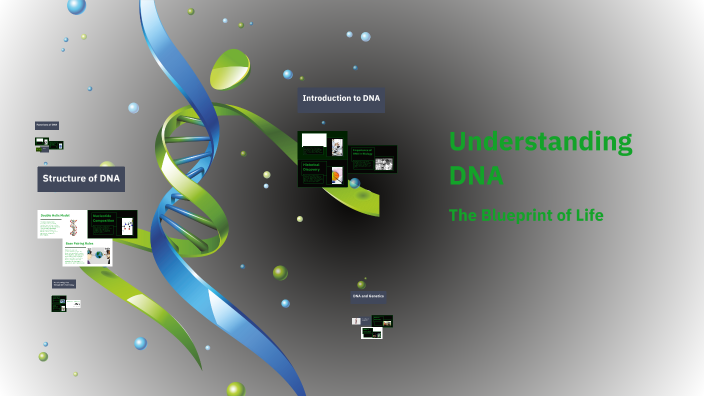 Understanding DNA by Erika Lampi on Prezi