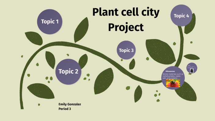 plant cell city by Emily Gonzalez