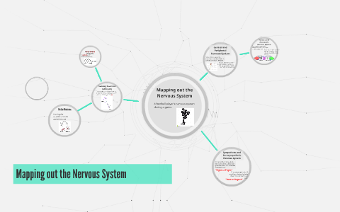 Mapping out the Nervous System by