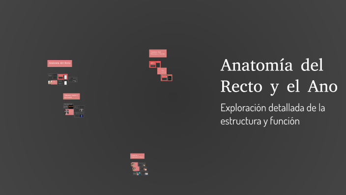 Anatomía del Recto y el Ano by Jasmin Ramírez on Prezi