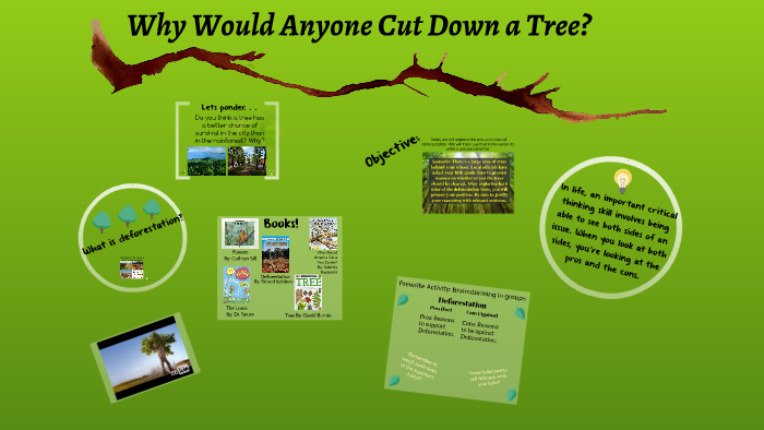 Mini Lesson Pros Cons Of Deforestation By Kayla Carlton - 