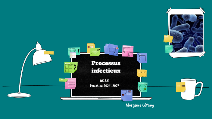 Présentation Processus infectieux by morgane letang on Prezi