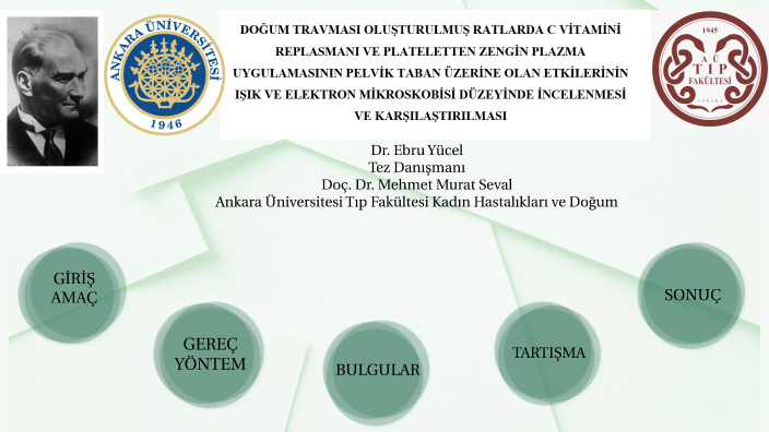 EY TEZ SAVUNMA by ebru yücel on Prezi
