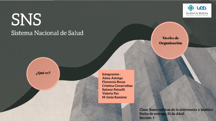 Sistema Nacional De Salud By Florencia Bocaz Meneses On Prezi