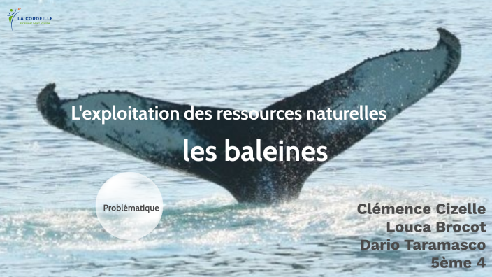 L'exploitation des ressources naturelles - LES BALEINES by Lino ...