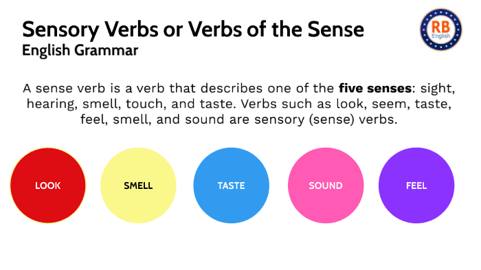 What Are Sensory Verbs