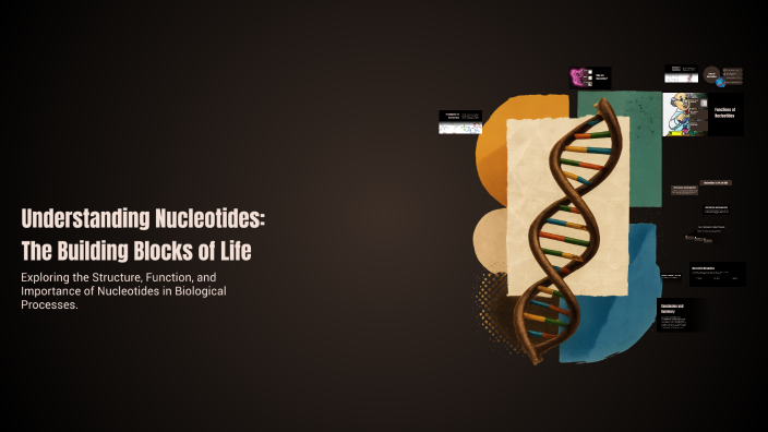 Understanding Nucleotides: The Building Blocks of Life by Ibrahim ...