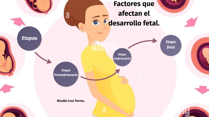 Factores que afectan el desarrollo fetal. by Nicolle Alejandra Cruz