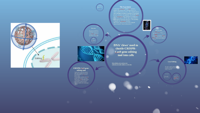 prezi