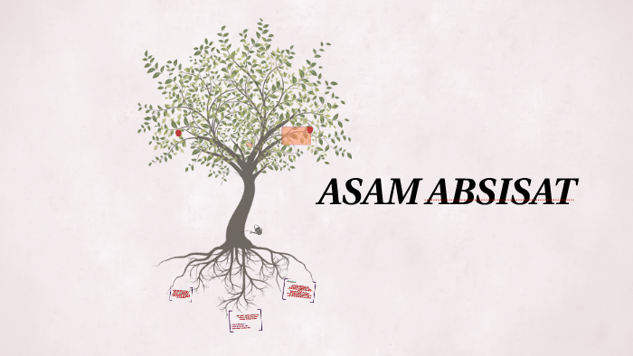 Apa Itu Hormon Asam Absisat Apa Itu Hormon Asam Absisat