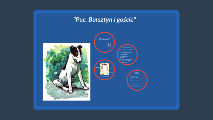 "Puc, Bursztyn i goście" by Agnieszka Hofman