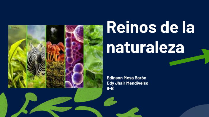 Reinos de la naturaleza by Edinson Mesa Baron on Prezi