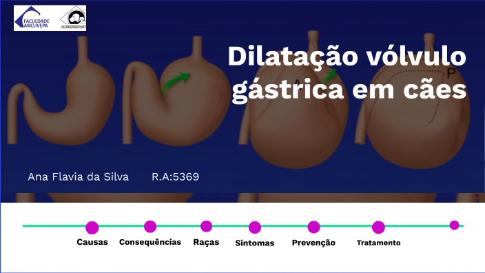 Dilatação vólvulo gástrica em cães - sintomas, diagnostico e tratamento ...