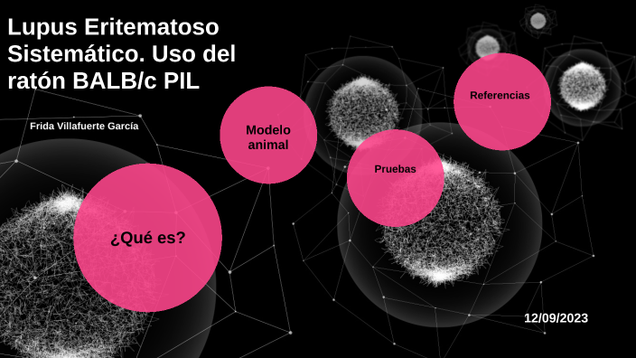 Lupus Eritematoso Sistemático. Uso del ratón BALB/c PIL by Frida V on Prezi