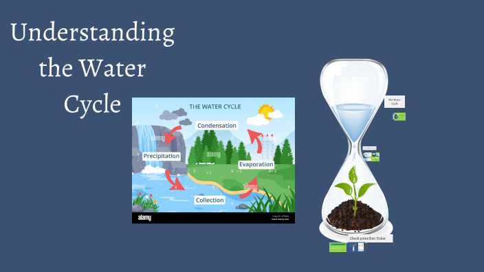 Understanding the Water Cycle by Francheska Vargas on Prezi