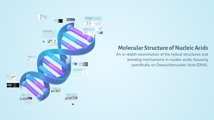 Molecular Structure of Nucleic Acids by Azhar on Prezi