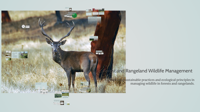 Forest and Rangeland Wildlife Management by Alvin Alinea on Prezi